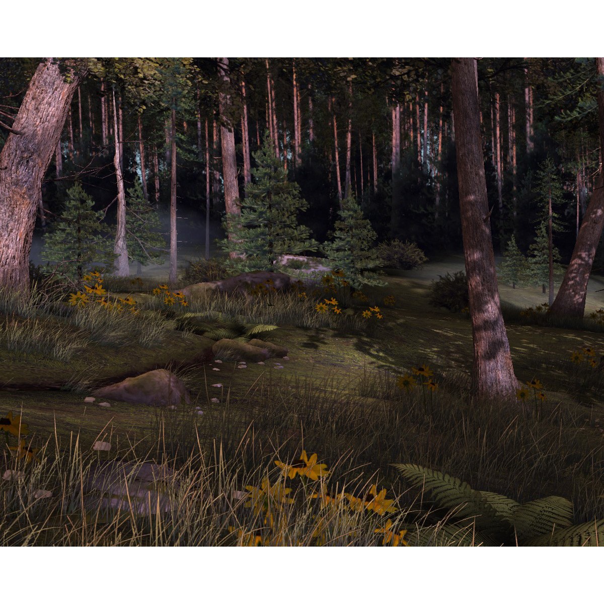 Big Buck Hunter HD and Reloaded : Caribou, Wolf and Bonus Rounds Add-On Kit