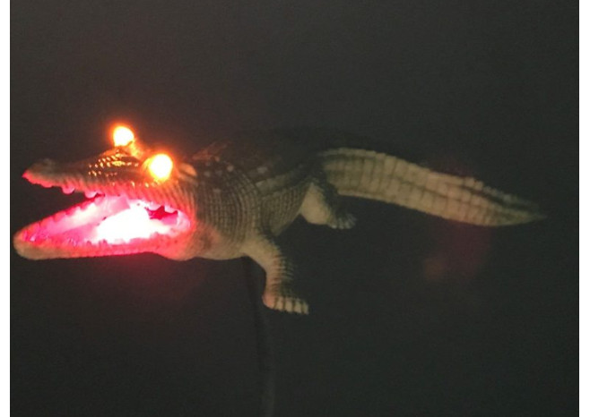 The Addams Family TAF Pinball Machine ALLIGATOR LED Mod