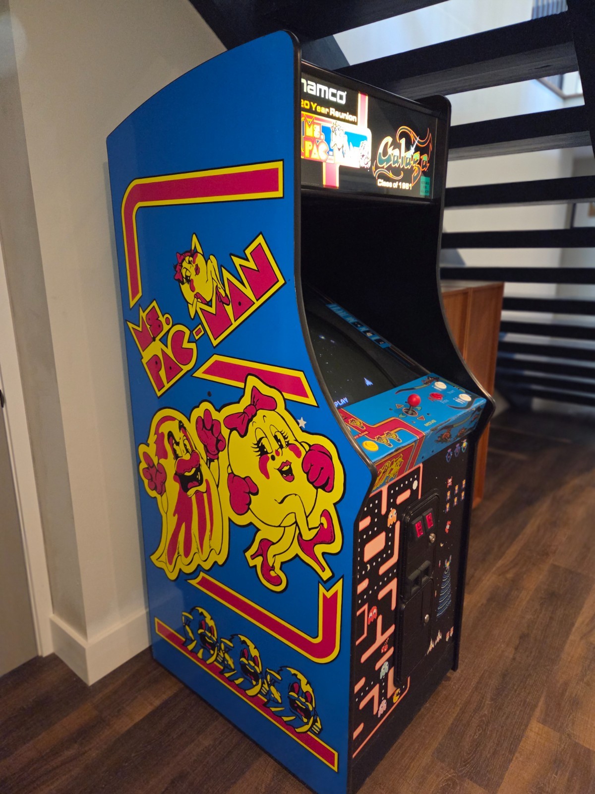 MS PAC-MAN GALAGA 20 YEAR REUNION