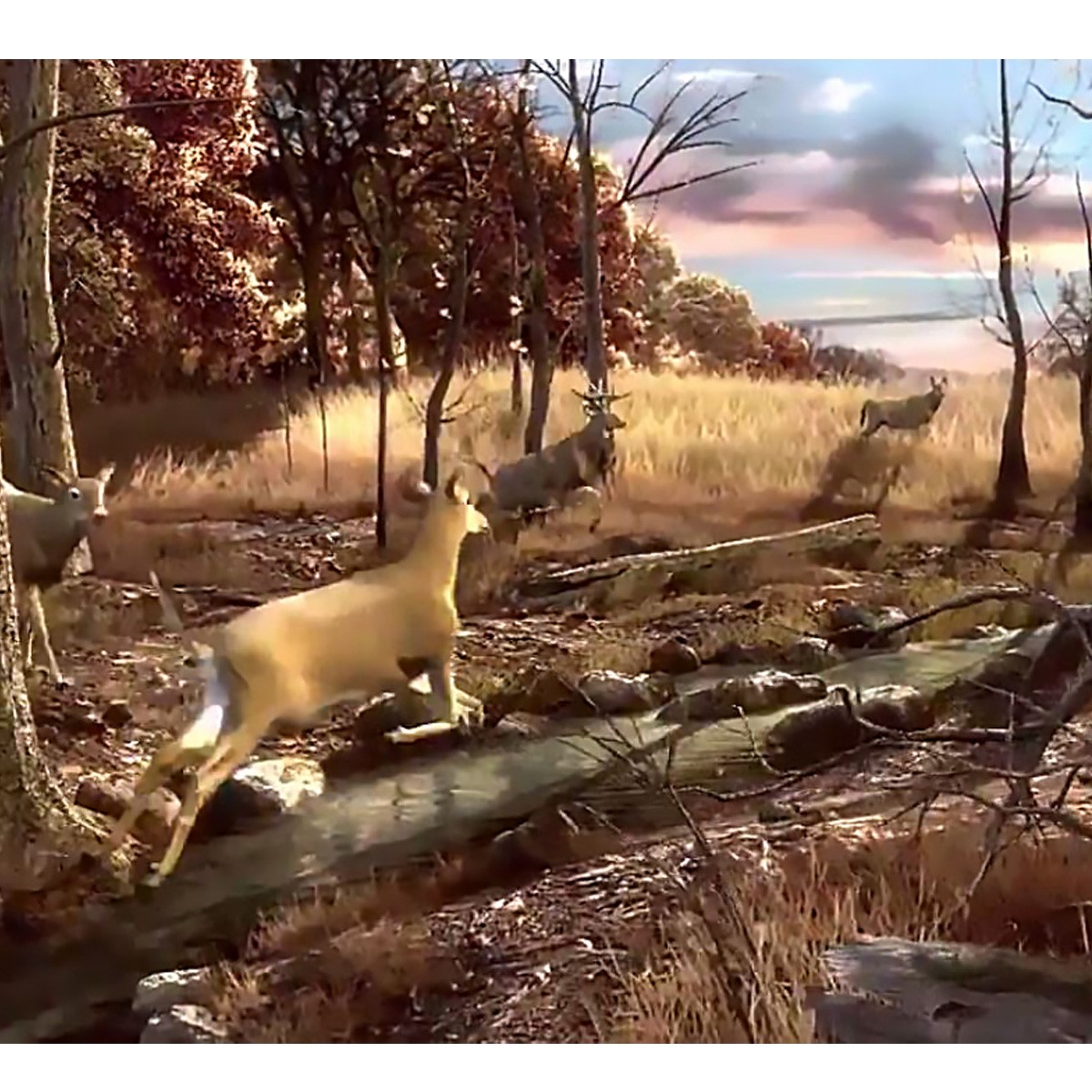 Raw Thrills Big Buck HD Wild 3 Year Upgrade Kit (V1.0, 2.0 and 3.0)