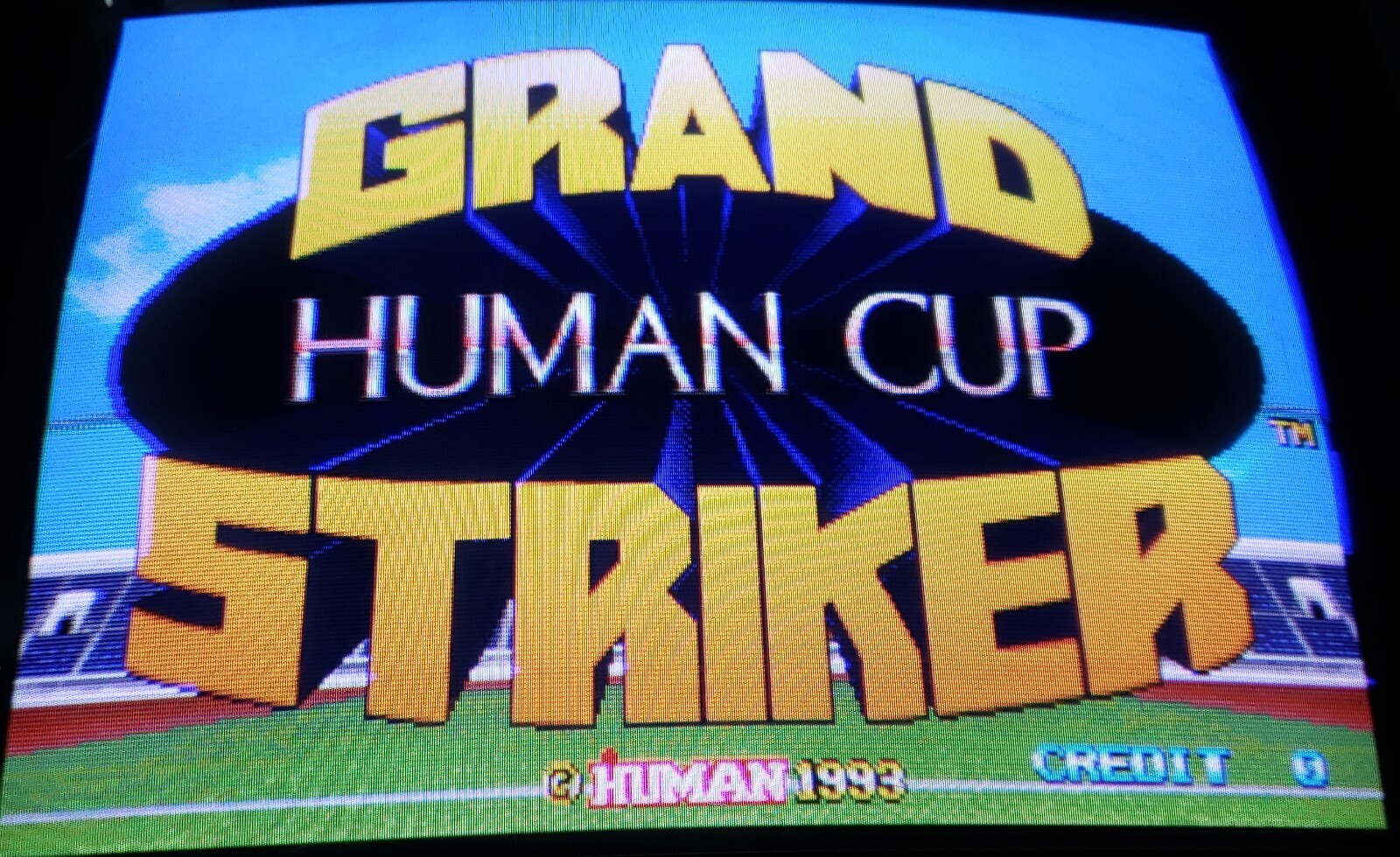 Grand Striker Human Cup Arcade Video Game PCB Human 1993