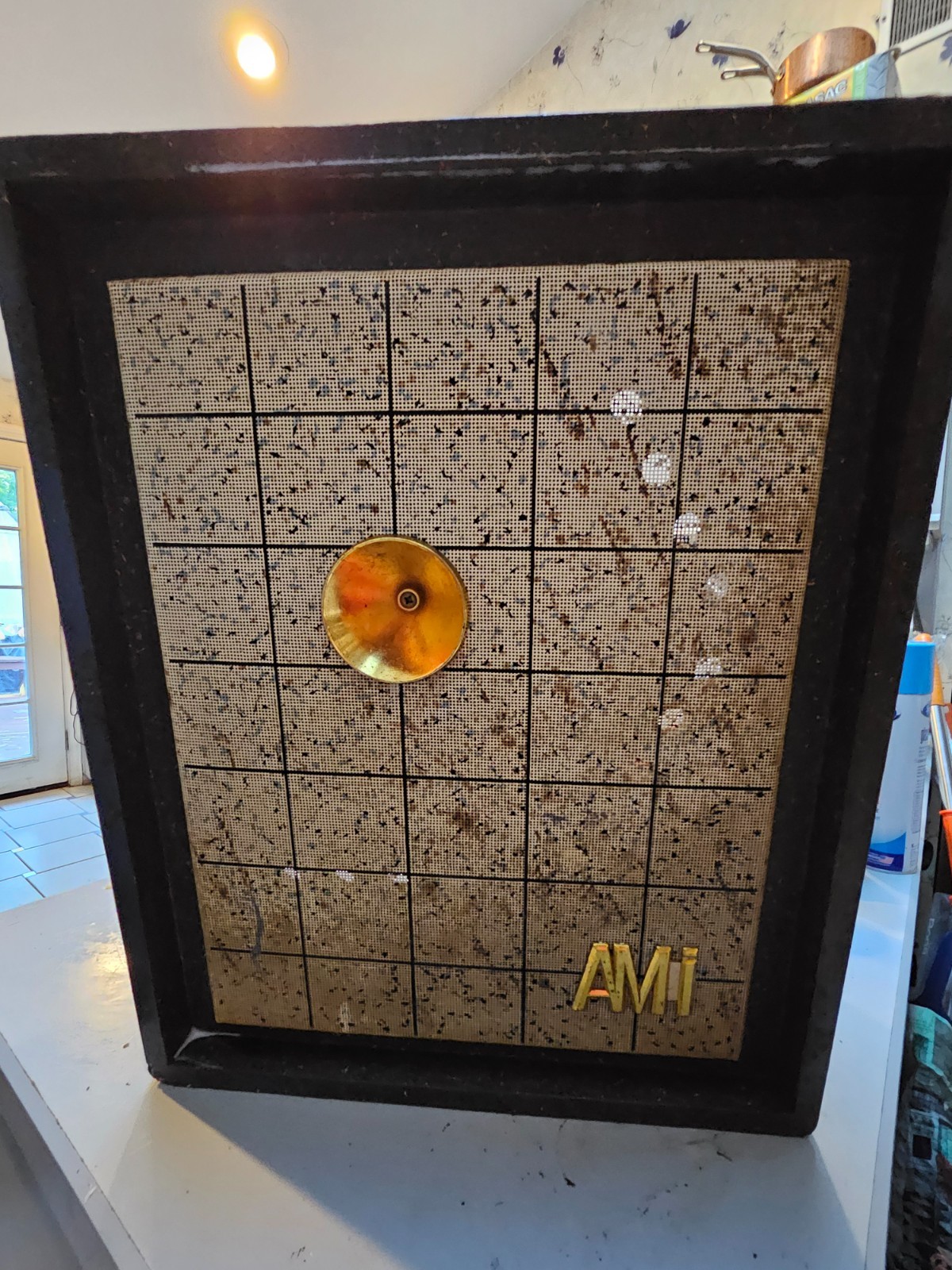 1 Rowe AMI continental & Lyric Vintage EX-200 speaker 1954-1958 Rare