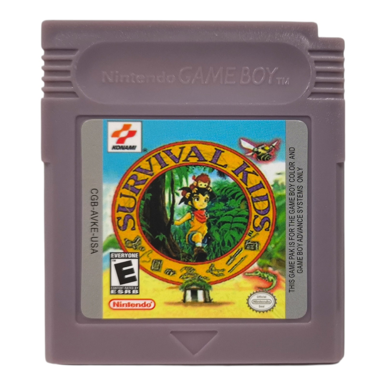 Survival Kids Games For Gameboy Game Boy Color – (GBC)