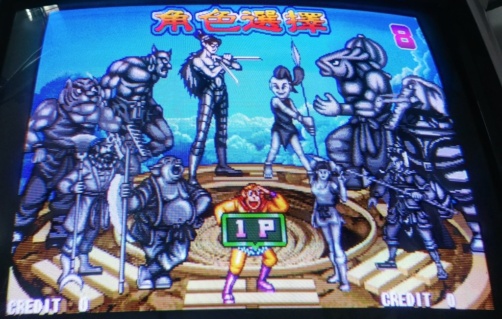 Oriental Legend Special Plus Cartridge With IGS Mother Board Arcade Video Game