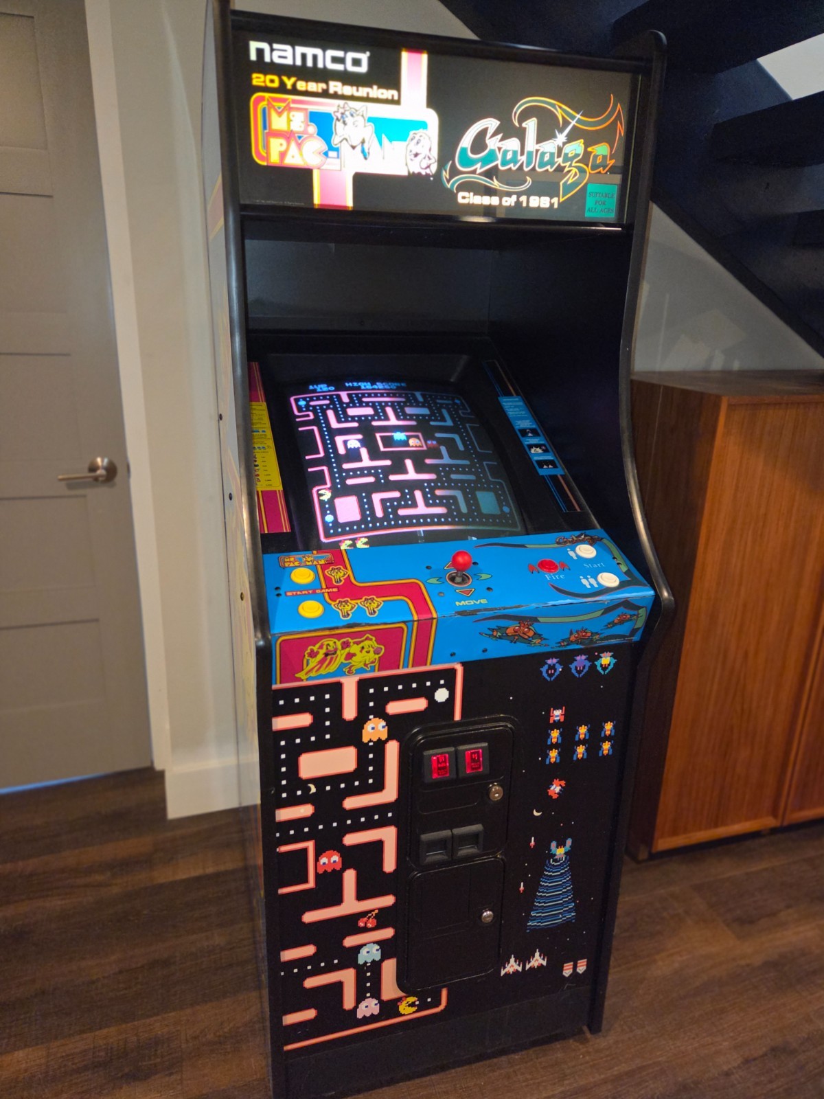 MS PAC-MAN GALAGA 20 YEAR REUNION