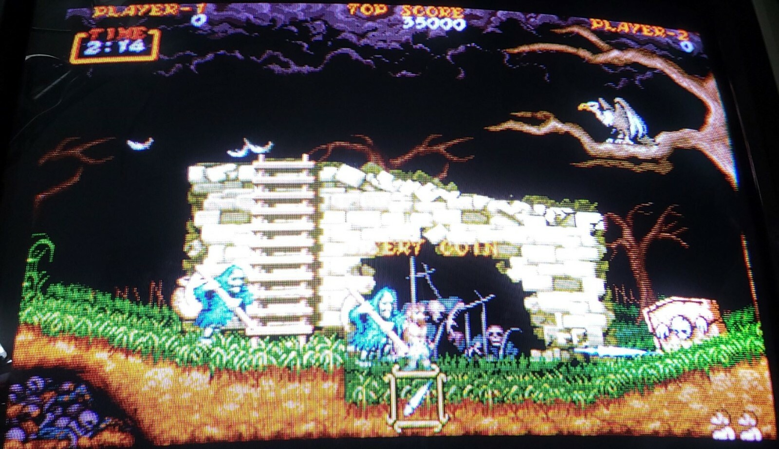 Ghouls ‘n Ghosts / DAIMAKAIMURA CPS PCB Arcade Video Game Capcom 1988