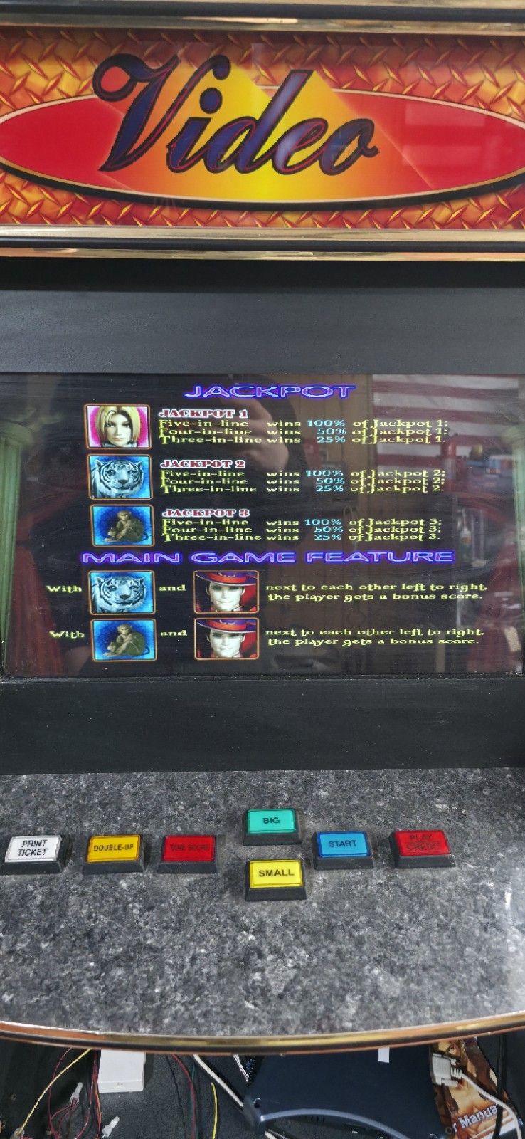 IGS Magic Show Video Arcade Game (game board only)