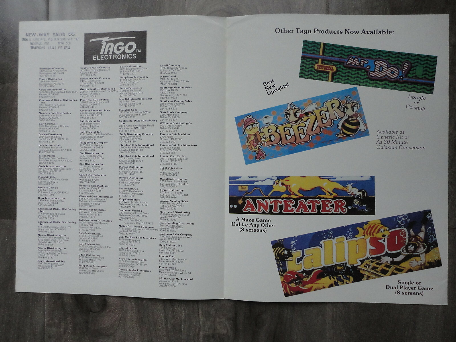 Zoar Video Arcade Machine Flyer Original Tago Brochure