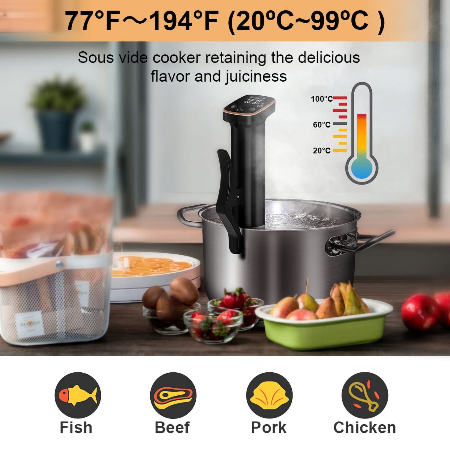 1100W Sous Vide Cooker for Perfect Steak & Tender Chicken Ultra-Quiet Immersi…